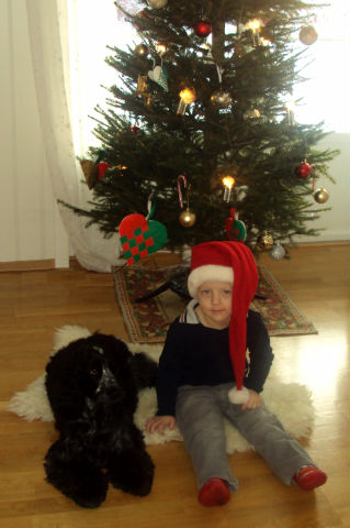 Alvin med familj önskar God Jul & Gott Nytt År!