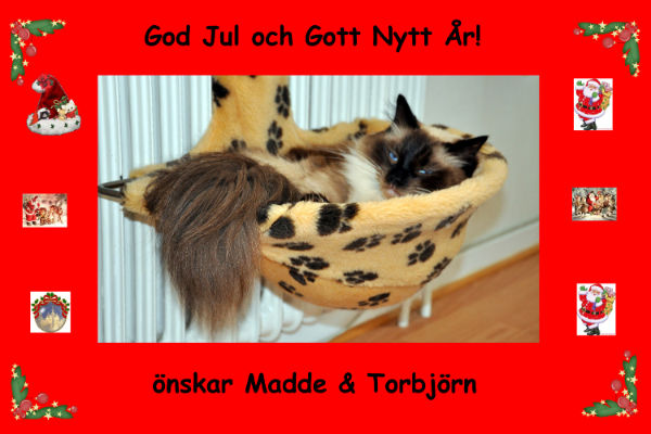 Madde & Torbjörn